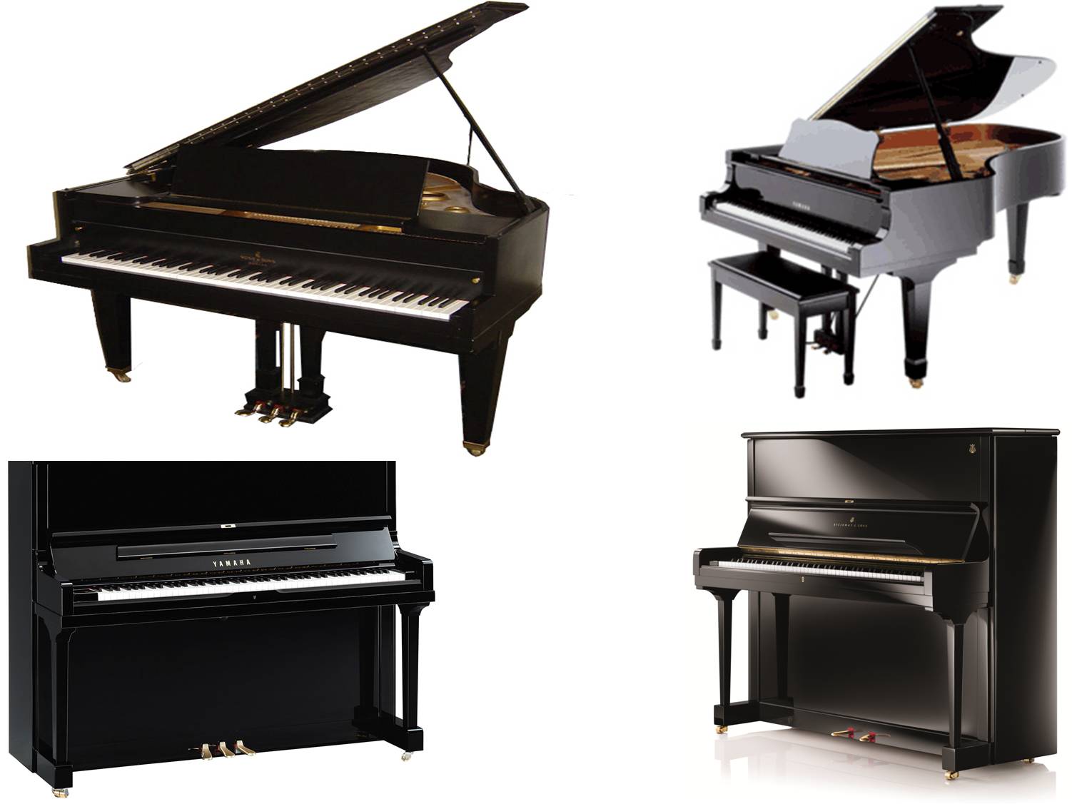 Grand Piano on rent in Jaipur